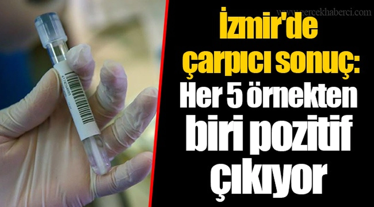 İzmir'de çarpıcı sonuç: Her 5 örnekten biri pozitif çıkıyor