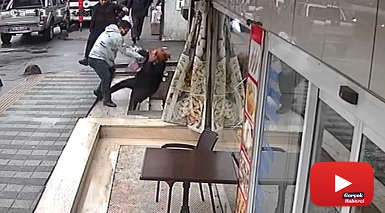 Kıskanç koca dehşeti kamerada: Yumrukladığı karısını merdivenlerden yuvarladı