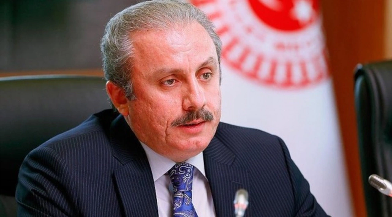 Şentop'tan Semra Güzel açıklaması: Yargılamanın önü açılmalı