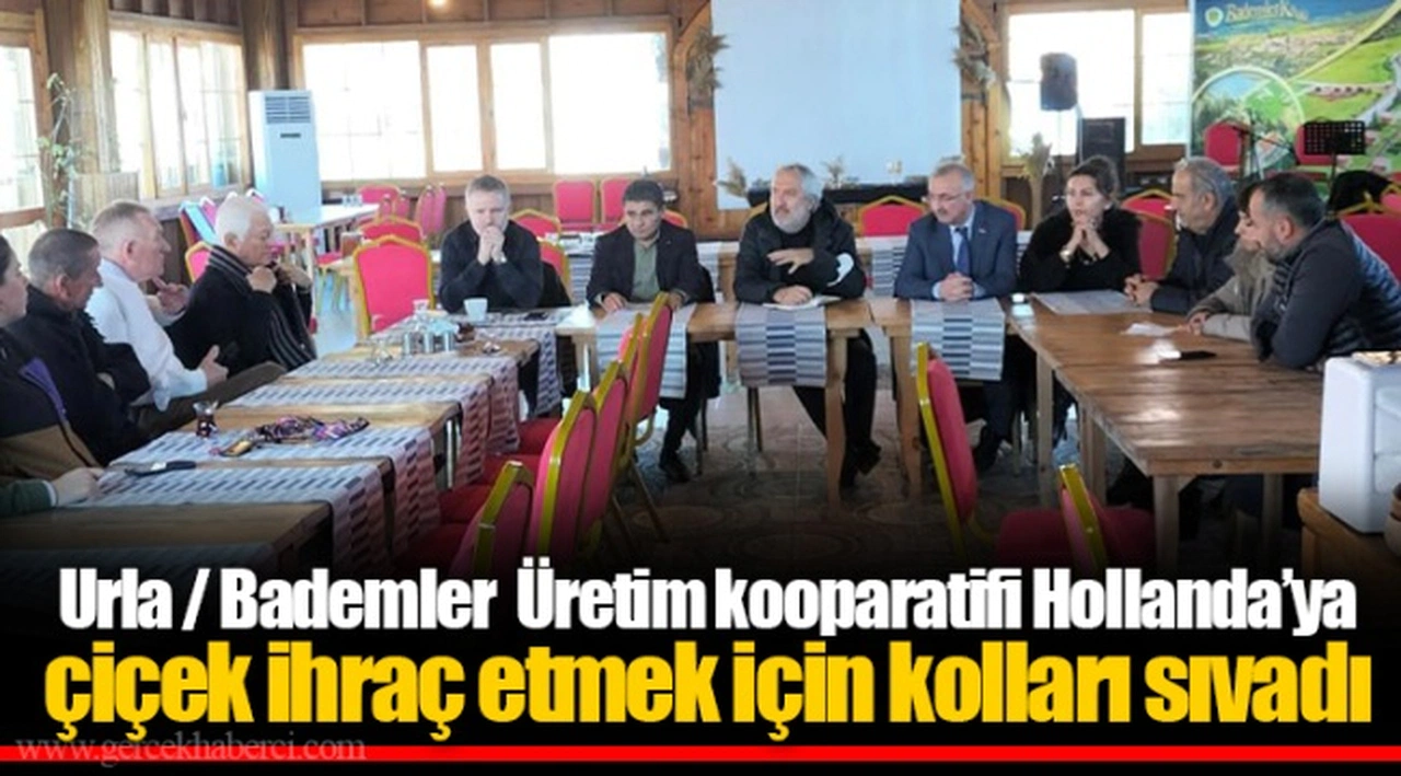 Urla / Bademler  Üretim kooparatifi Hollanda’ya çiçek ihraç etmek için kolları sıvadı