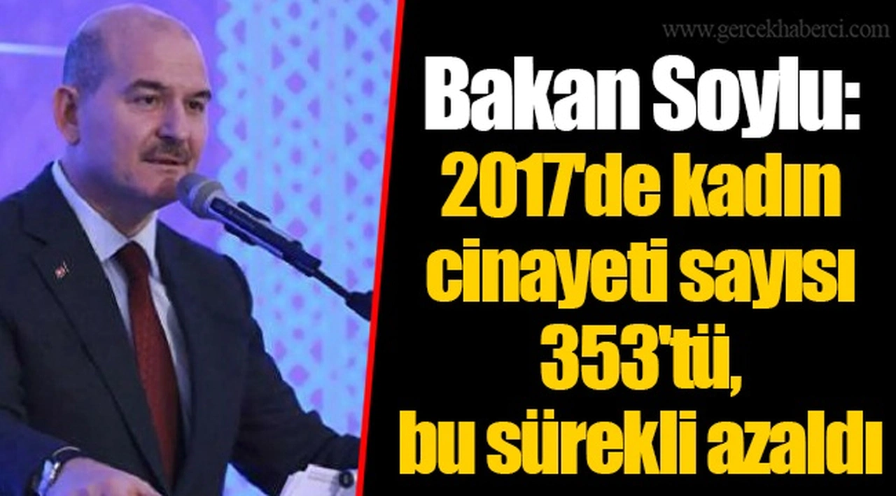 Bakan Soylu: 2017'de kadın cinayeti sayısı 353'tü, bu sürekli azaldı