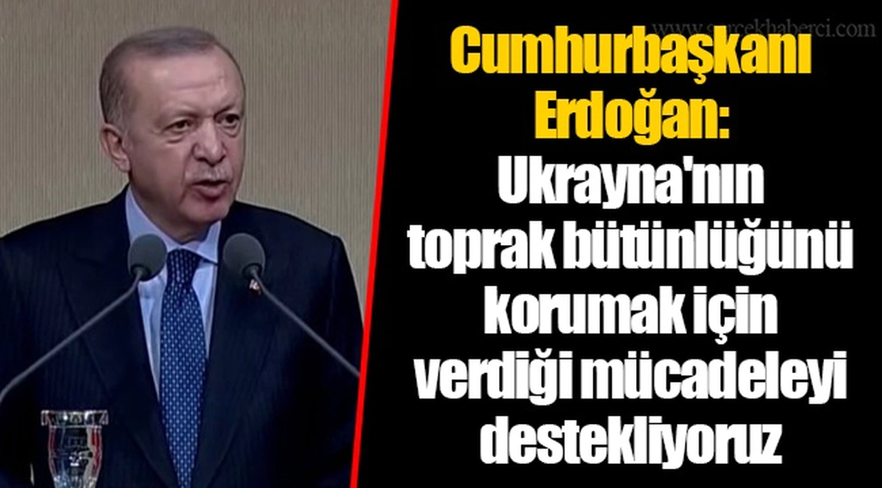 Cumhurbaşkanı Erdoğan: Ukrayna'nın toprak bütünlüğünü korumak için verdiği mücadeleyi destekliyoruz