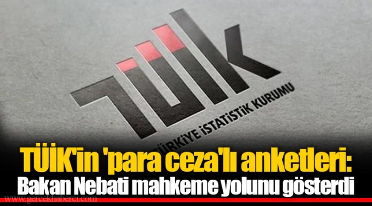 TÜİK'in 'para ceza'lı anketleri: Bakan Nebati mahkeme yolunu gösterdi