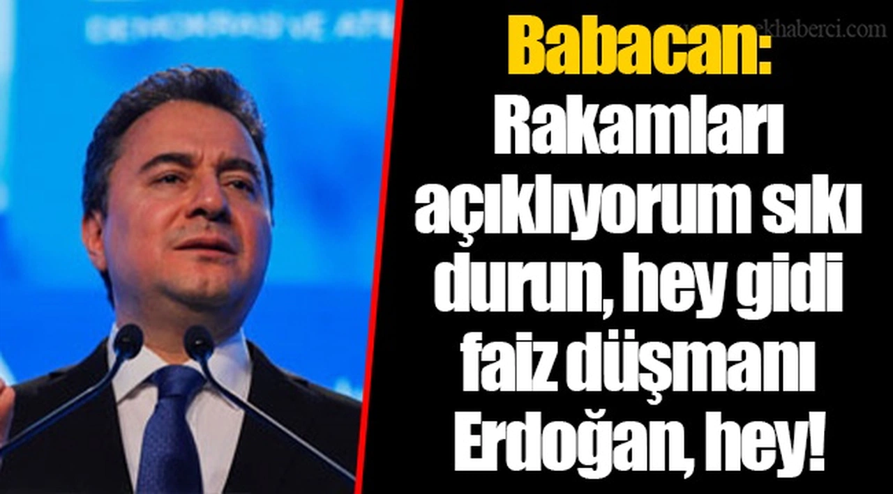 Babacan: Rakamları açıklıyorum sıkı durun, hey gidi faiz düşmanı Erdoğan, hey!