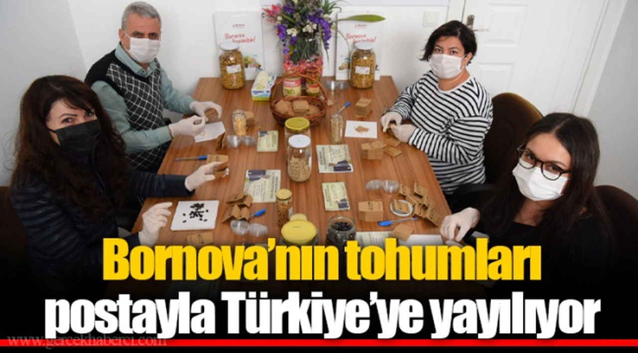 Bornova’nın tohumları postayla Türkiye’ye yayılıyor
