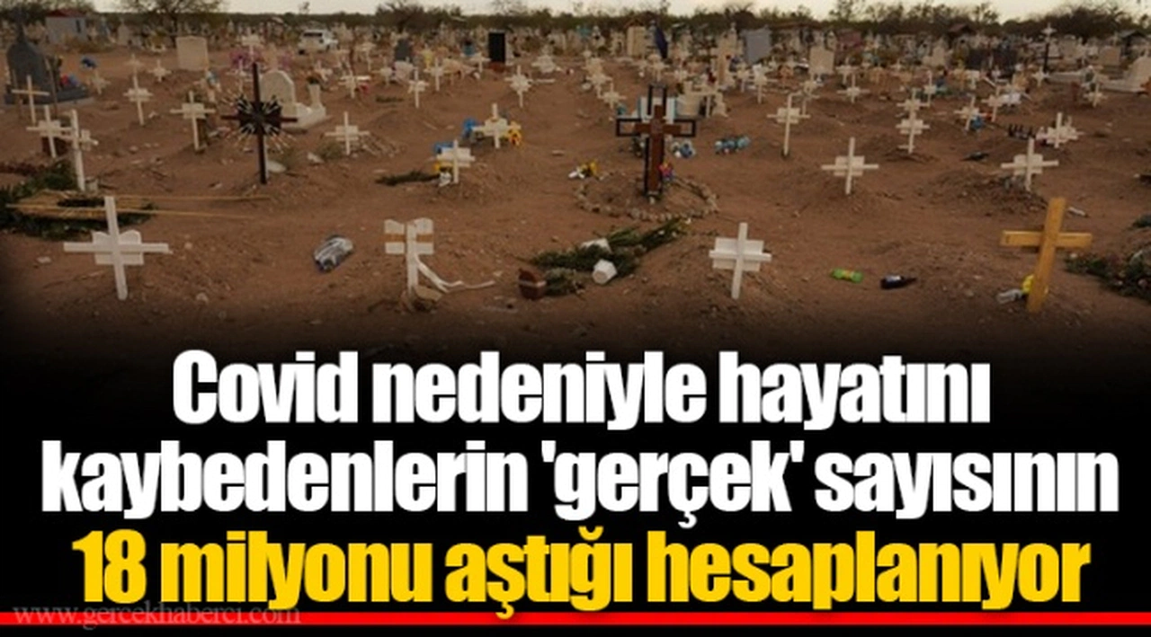Covid nedeniyle hayatını kaybedenlerin 'gerçek' sayısının 18 milyonu aştığı hesaplanıyor