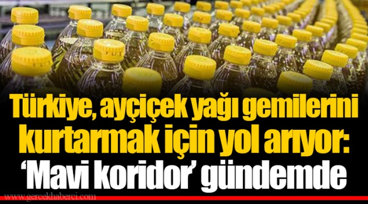 Türkiye, ayçiçek yağı gemilerini kurtarmak için yol arıyor: ‘Mavi koridor’ gündemde