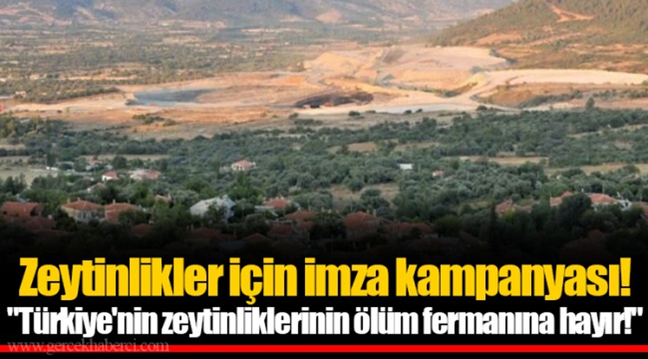 Zeytinlikler için imza kampanyası! "Türkiye'nin zeytinliklerinin ölüm fermanına hayır!"