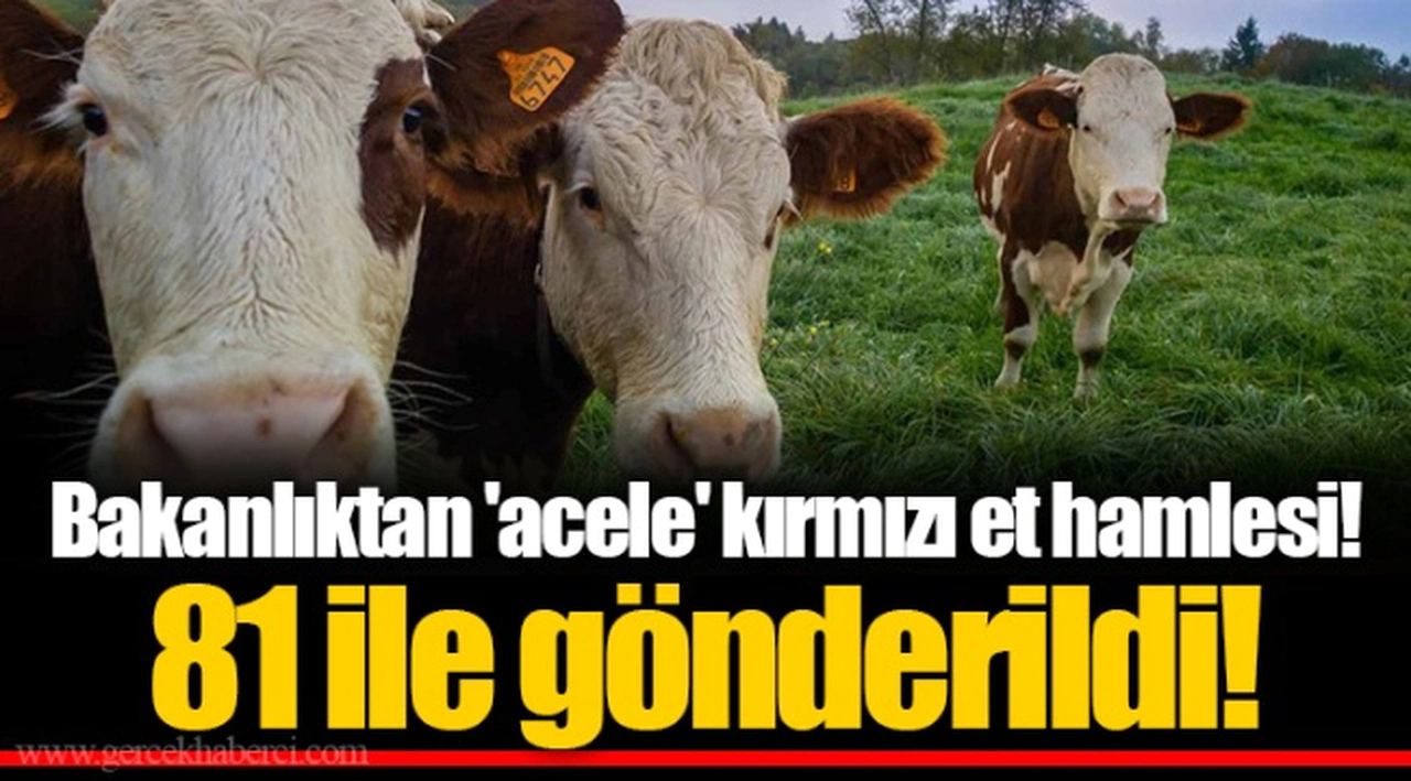 Bakanlıktan 'acele' kırmızı et hamlesi! 81 ile gönderildi!