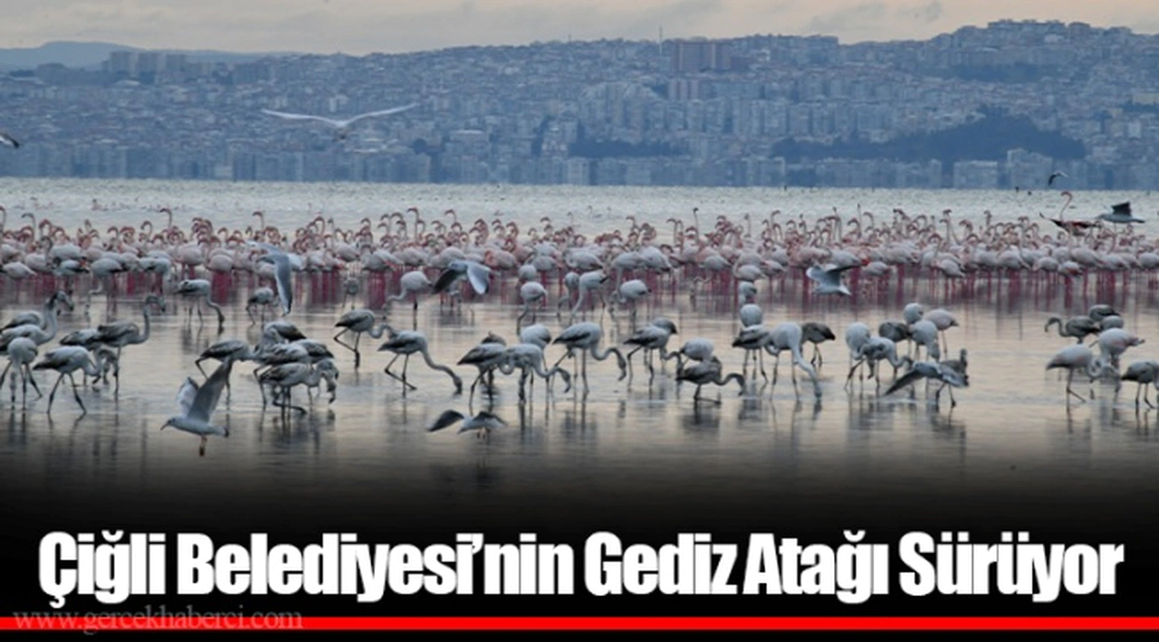 Çiğli Belediyesi’nin Gediz Atağı Sürüyor