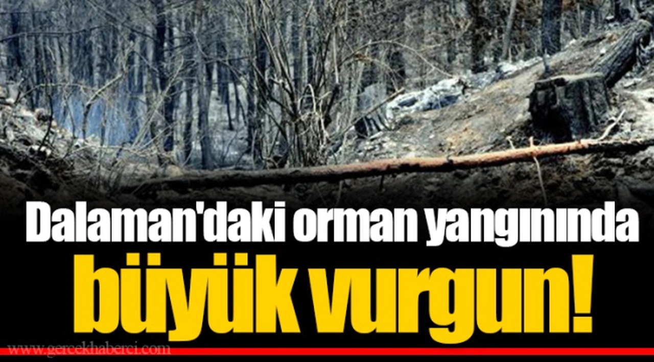 Dalaman'daki orman yangınında büyük vurgun!