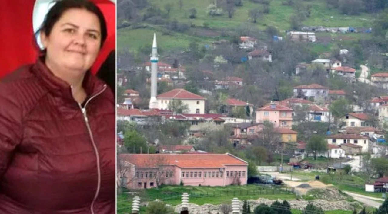 "Dolandırıcılık" suçundan tutuklanan CHP'li Meclis Üyesi Güney görevden uzaklaştırıldı