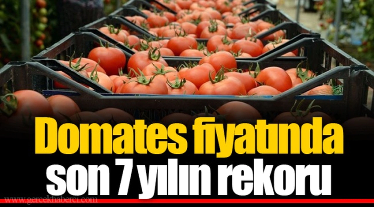 Domates fiyatında son 7 yılın rekoru