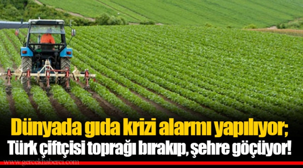 Dünyada gıda krizi alarmı yapılıyor; Türk çiftçisi toprağı bırakıp, şehre göçüyor!