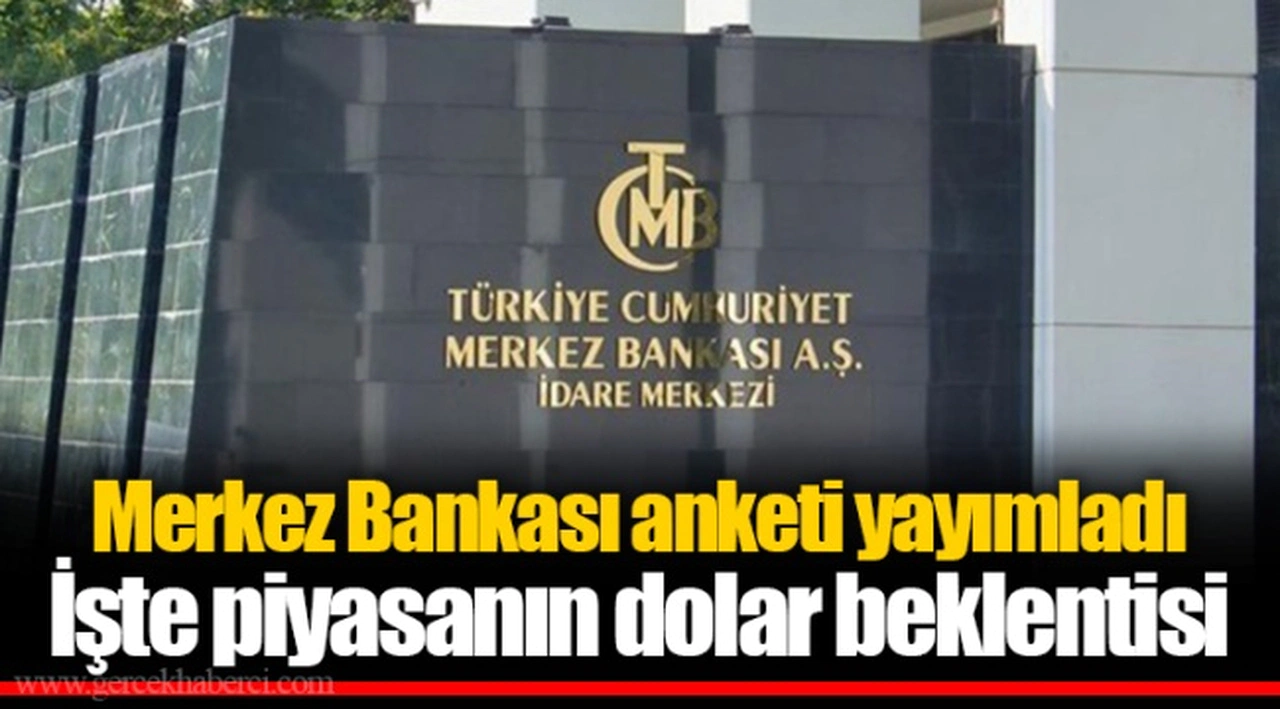 Merkez Bankası anketi yayımladı  İşte piyasanın dolar beklentisi