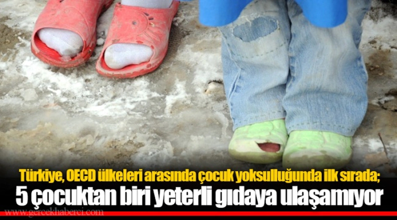 Türkiye, OECD ülkeleri arasında çocuk yoksulluğunda ilk sırada; 5 çocuktan biri yeterli gıdaya ulaşamıyor