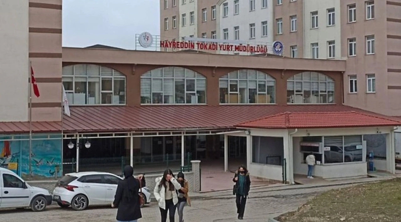 Üniversite yurdundan tepki çeken karar: Sokak hayvanlarını besleyen öğrencilere kınama cezası verilecek
