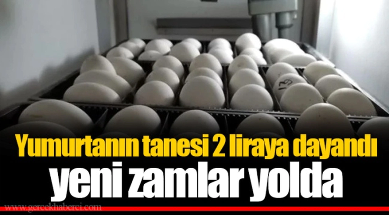Yumurtanın tanesi 2 liraya dayandı yeni zamlar yolda