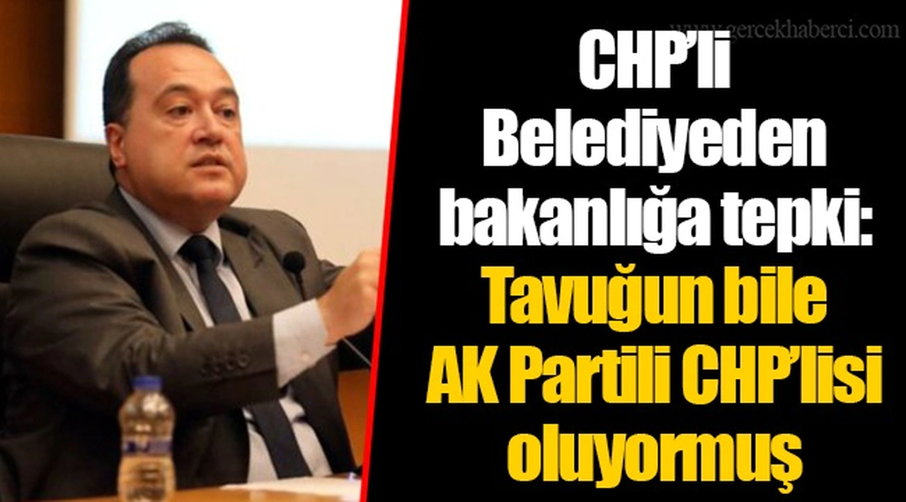 CHP’li Belediyeden bakanlığa tepki: Tavuğun bile AK Partili CHP’lisi oluyormuş
