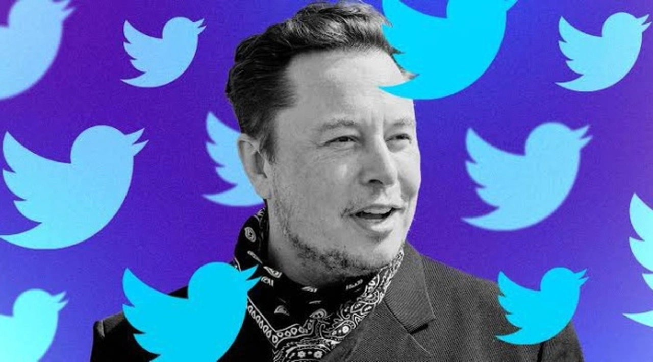 Elon Musk: Twitter'ı satın almamla ilgili anlaşma askıya alındı