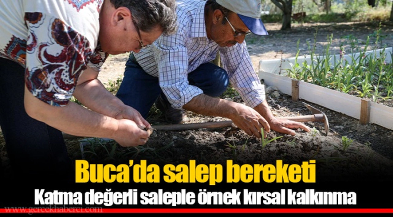 Katma değerli saleple örnek kırsal kalkınma