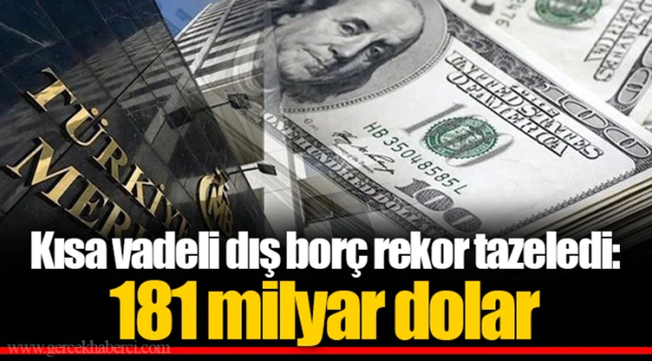 Kısa vadeli dış borç rekor tazeledi: 181 milyar dolar