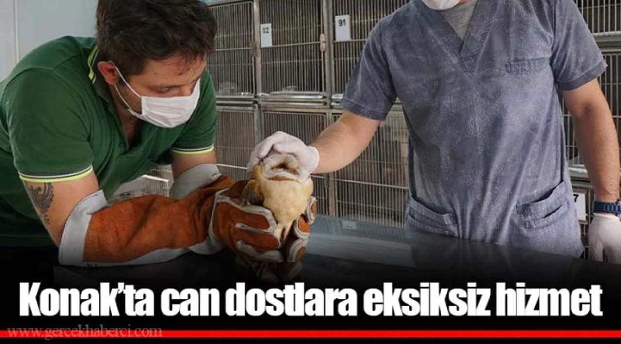 Konak’ta can dostlara Eksiksiz hizmet