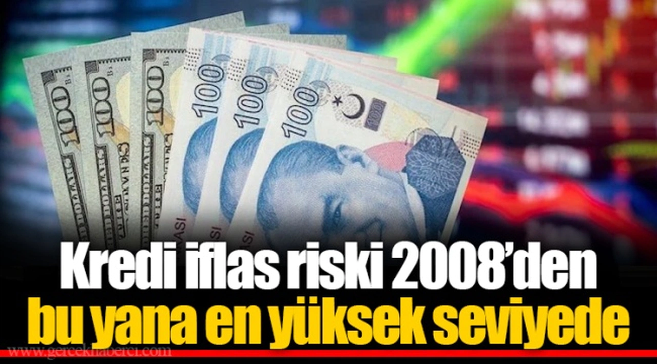 Kredi iflas riski 2008’den bu yana en yüksek seviyede