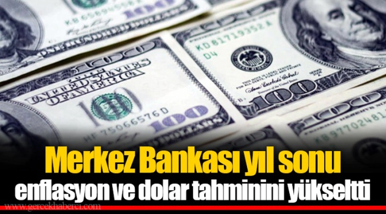Merkez Bankası yıl sonu enflasyon ve dolar tahminini yükseltti
