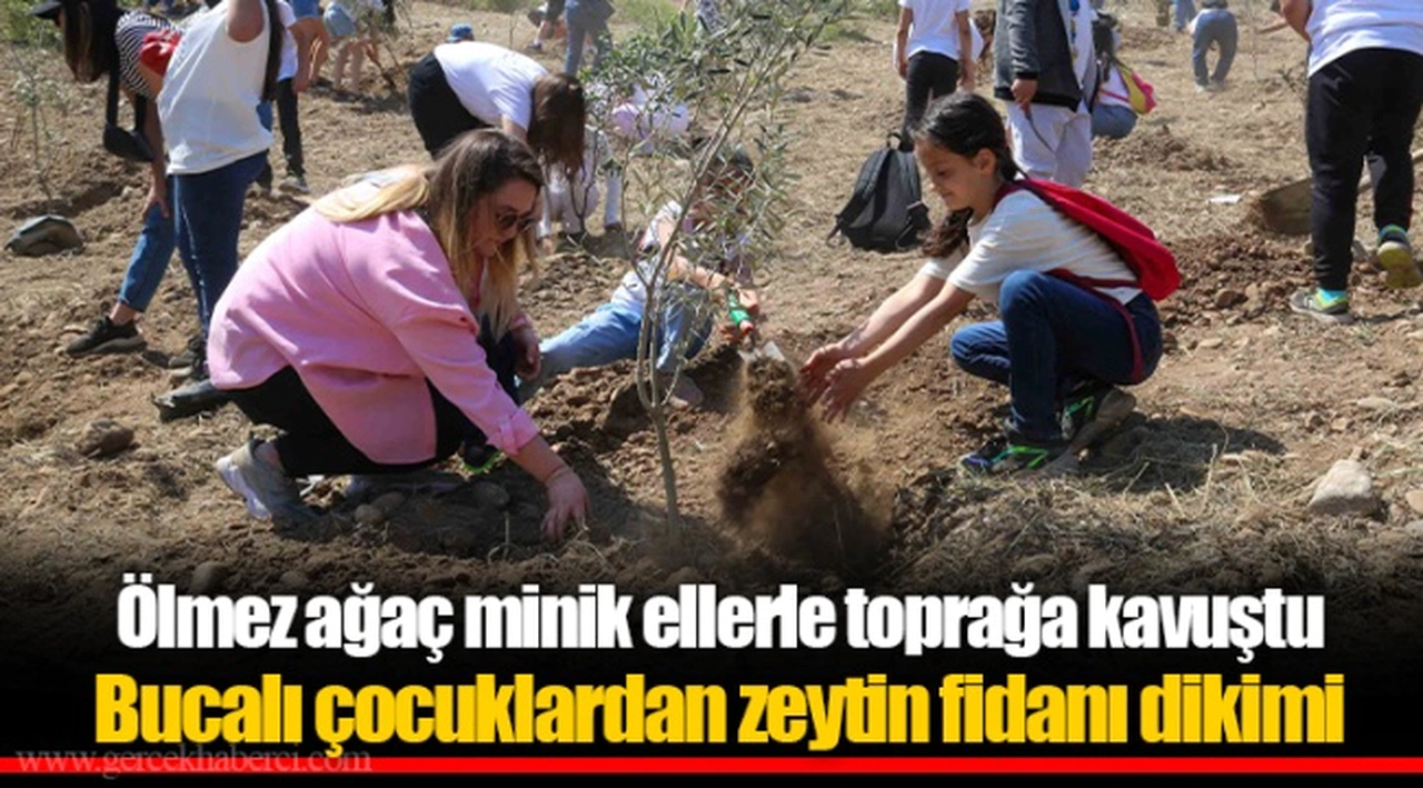 Ölmez ağaç minik ellerle toprağa kavuştu