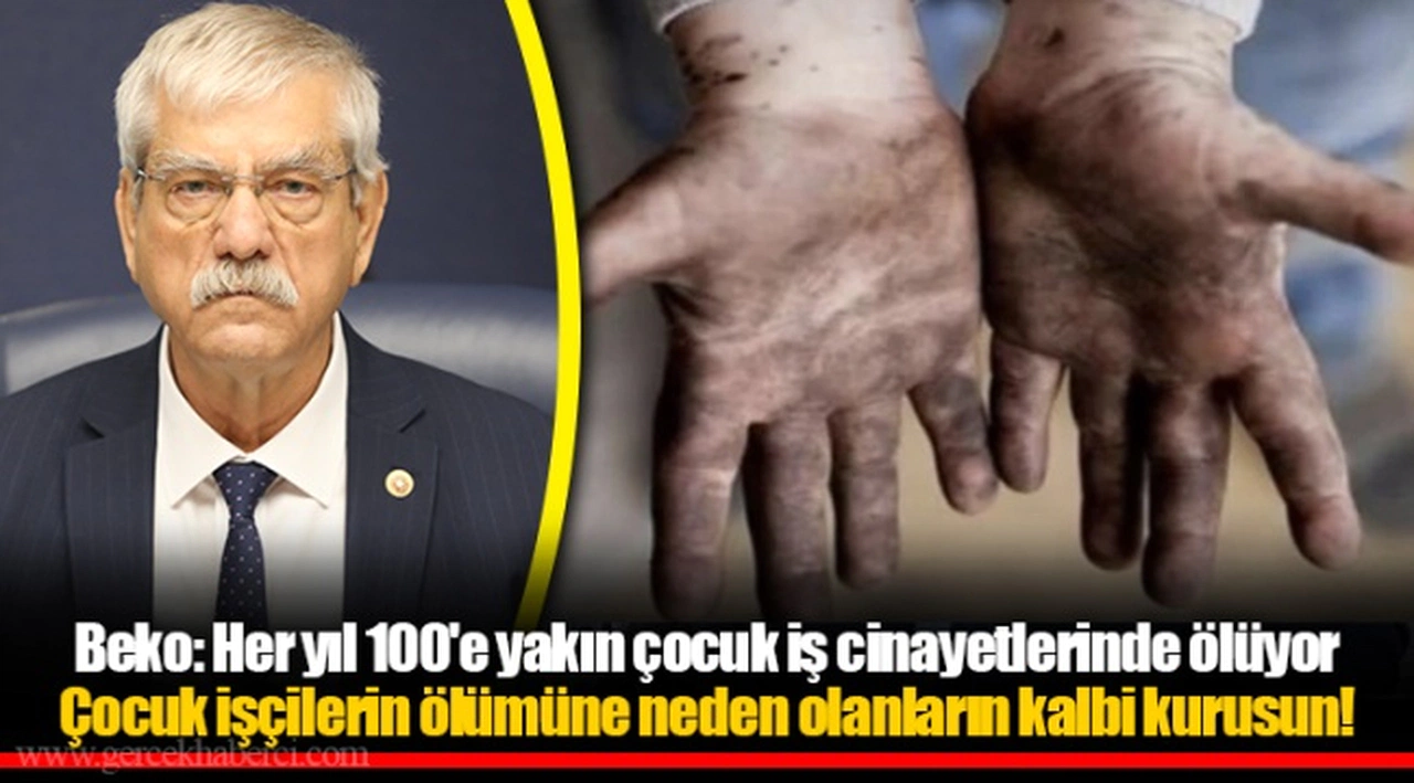 Beko: Her yıl 100'e yakın çocuk iş cinayetlerinde ölüyor
