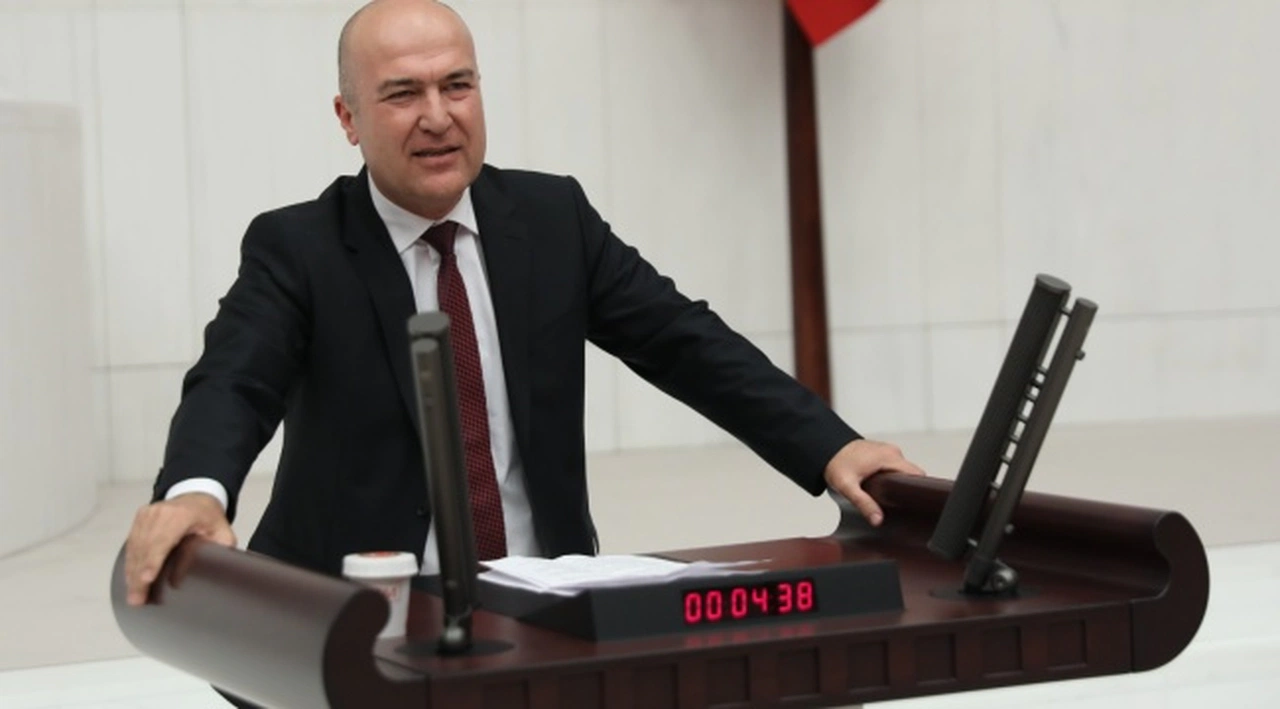 CHP’li Bakan’ın “kesilen palmiye ağaçları” önergesine yanıt geldi