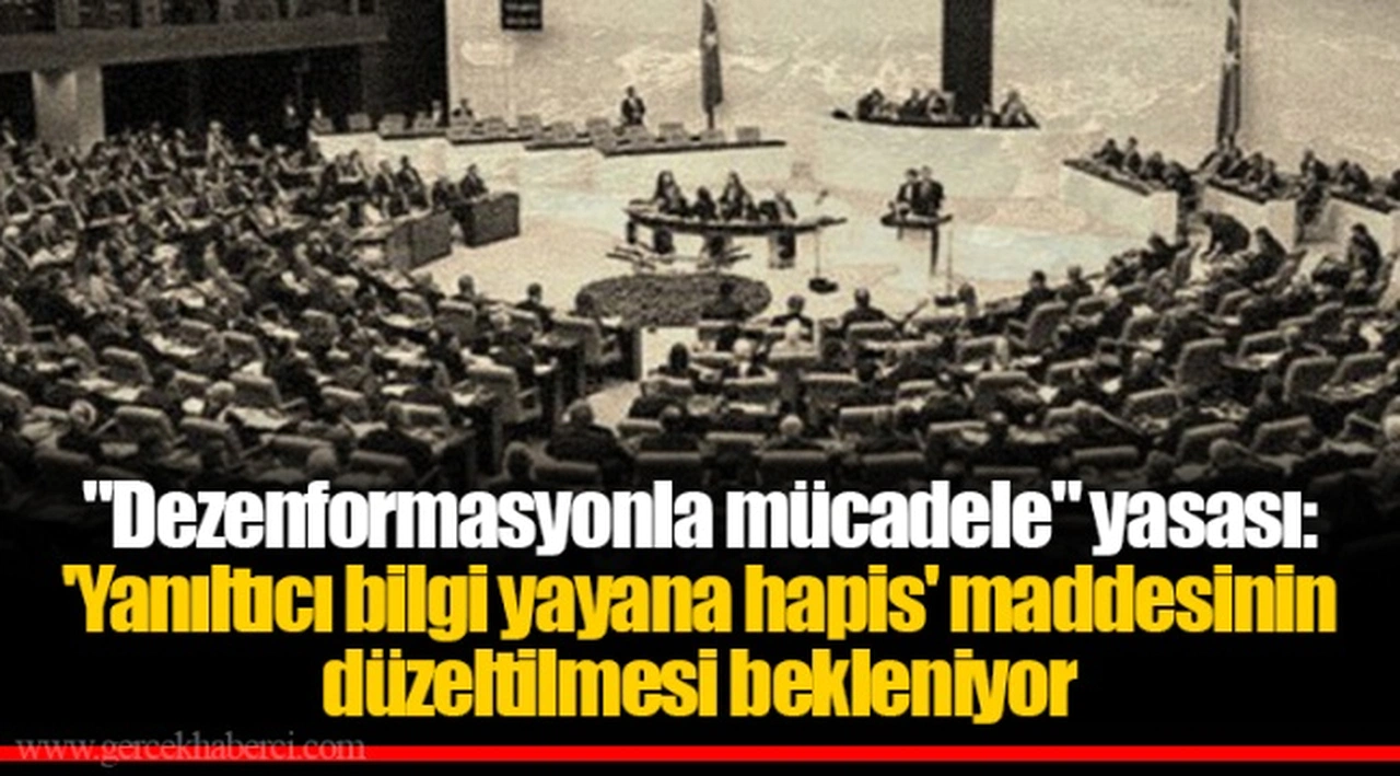 "Dezenformasyonla mücadele" yasası: 'Yanıltıcı bilgi yayana hapis' maddesinin düzeltilmesi bekleniyor