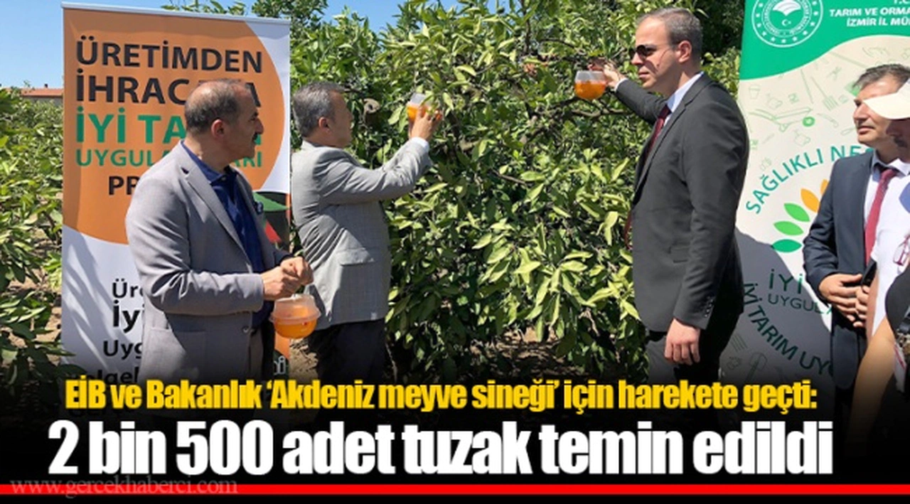 EİB ve Bakanlık ‘Akdeniz meyve sineği’ için harekete geçti: 2 bin 500 adet tuzak temin edildi