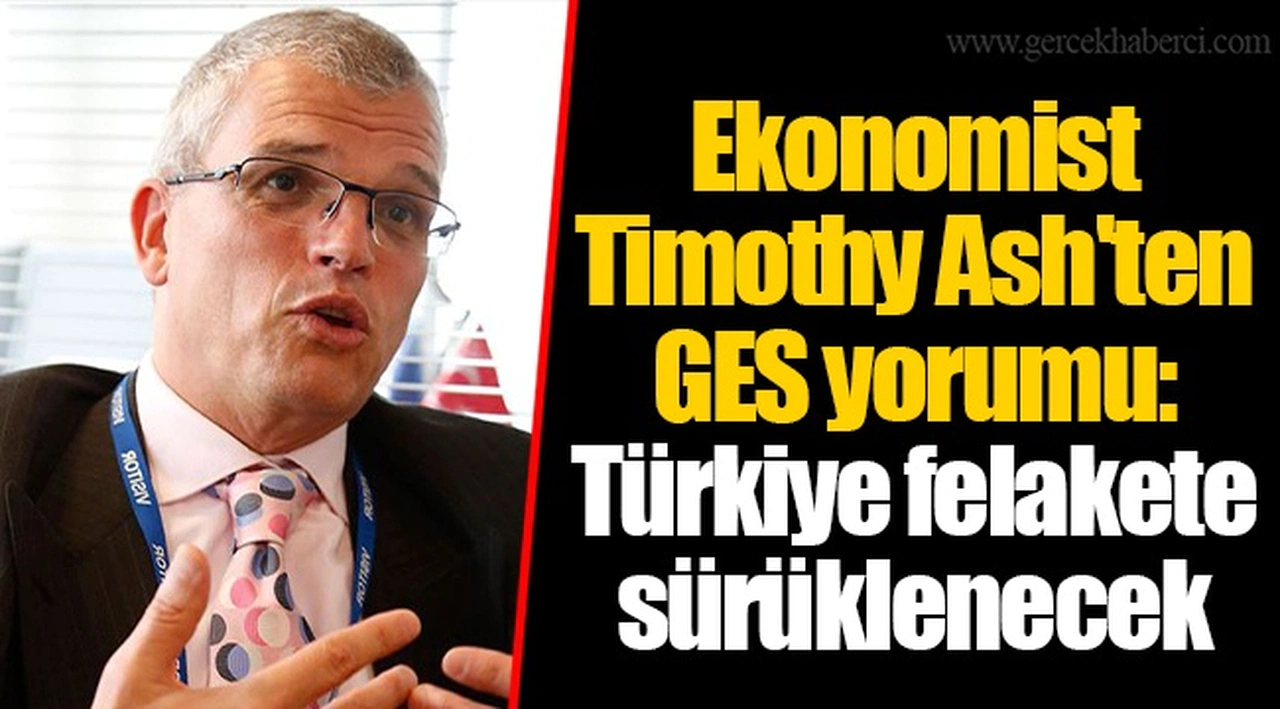 Ekonomist Timothy Ash'ten GES yorumu: Türkiye felakete sürüklenecek