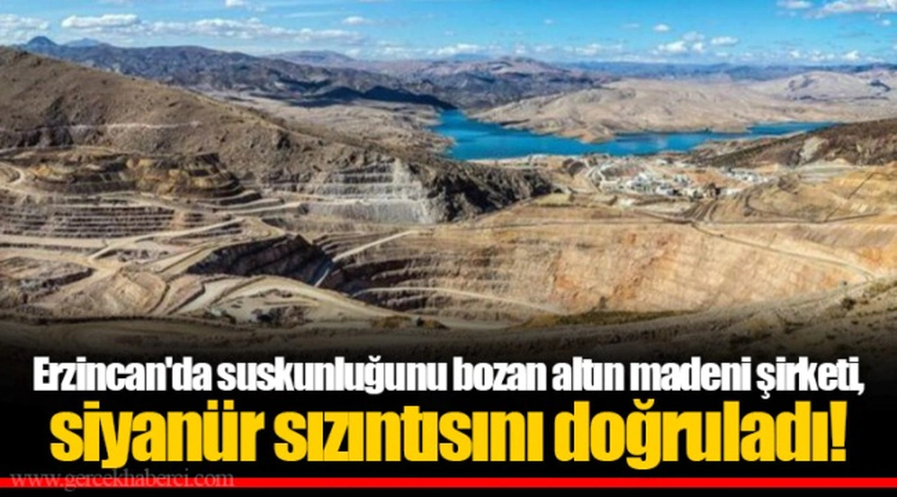 Erzincan'da suskunluğunu bozan altın madeni şirketi, siyanür sızıntısını doğruladı!