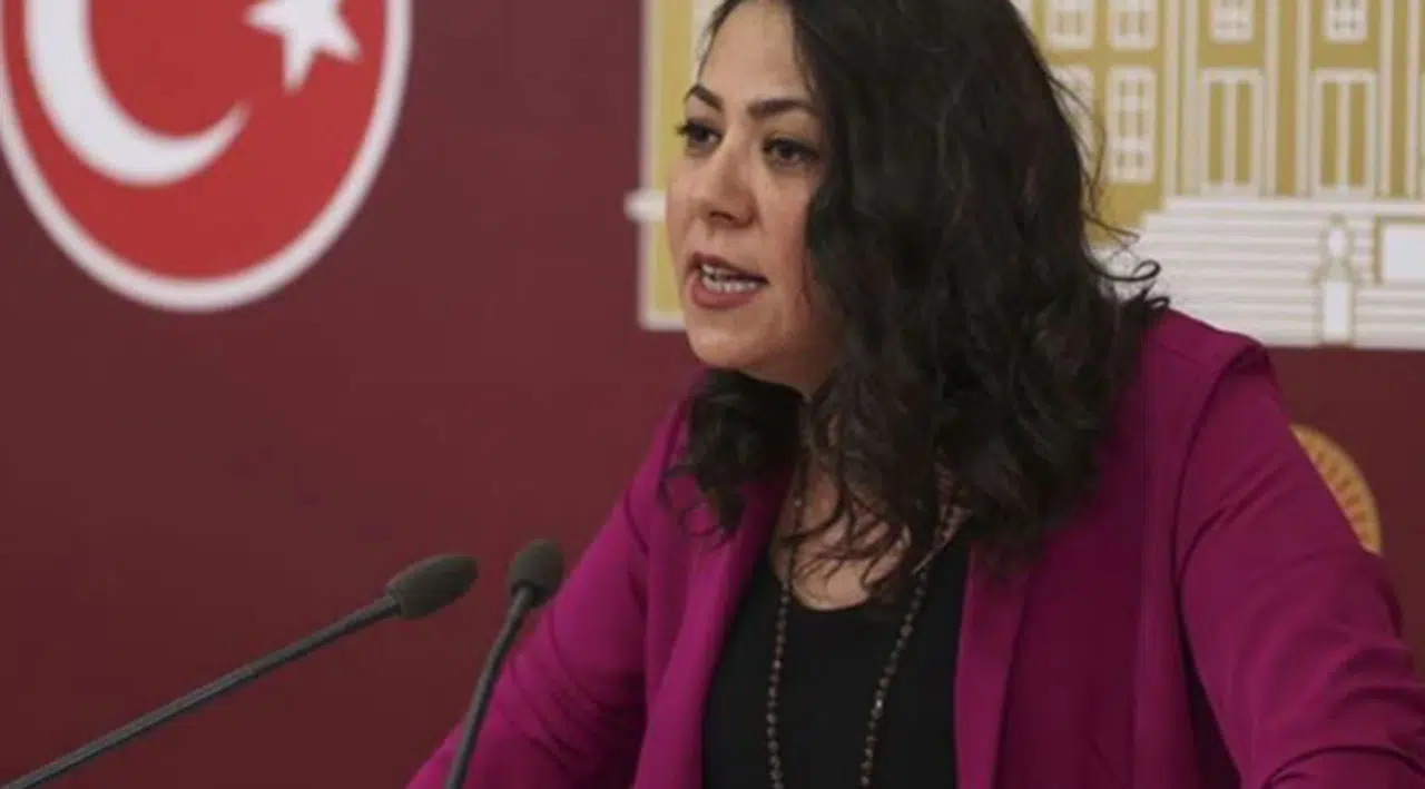 İstanbul Sözleşmesi'nin feshi kararı Danıştay'da: TİP'li Sera Kadıgil'den kendisini uyaran daire başkanına cevap