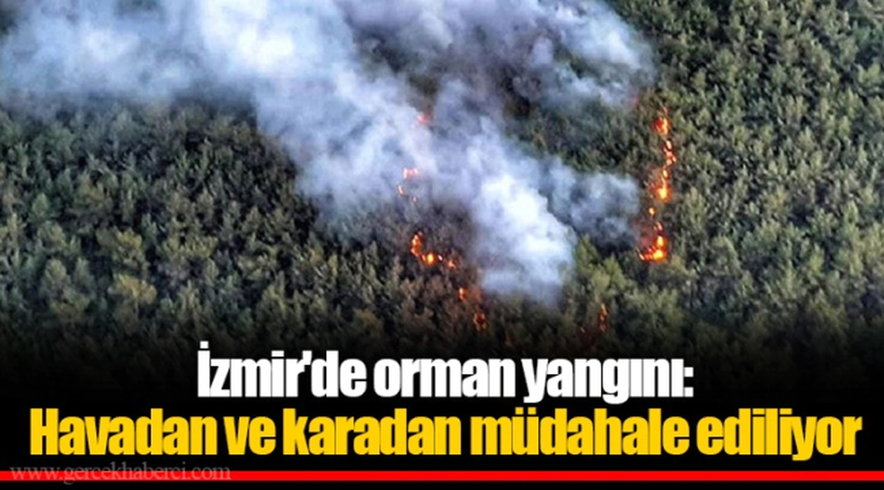İzmir'de orman yangını: Havadan ve karadan müdahale ediliyor