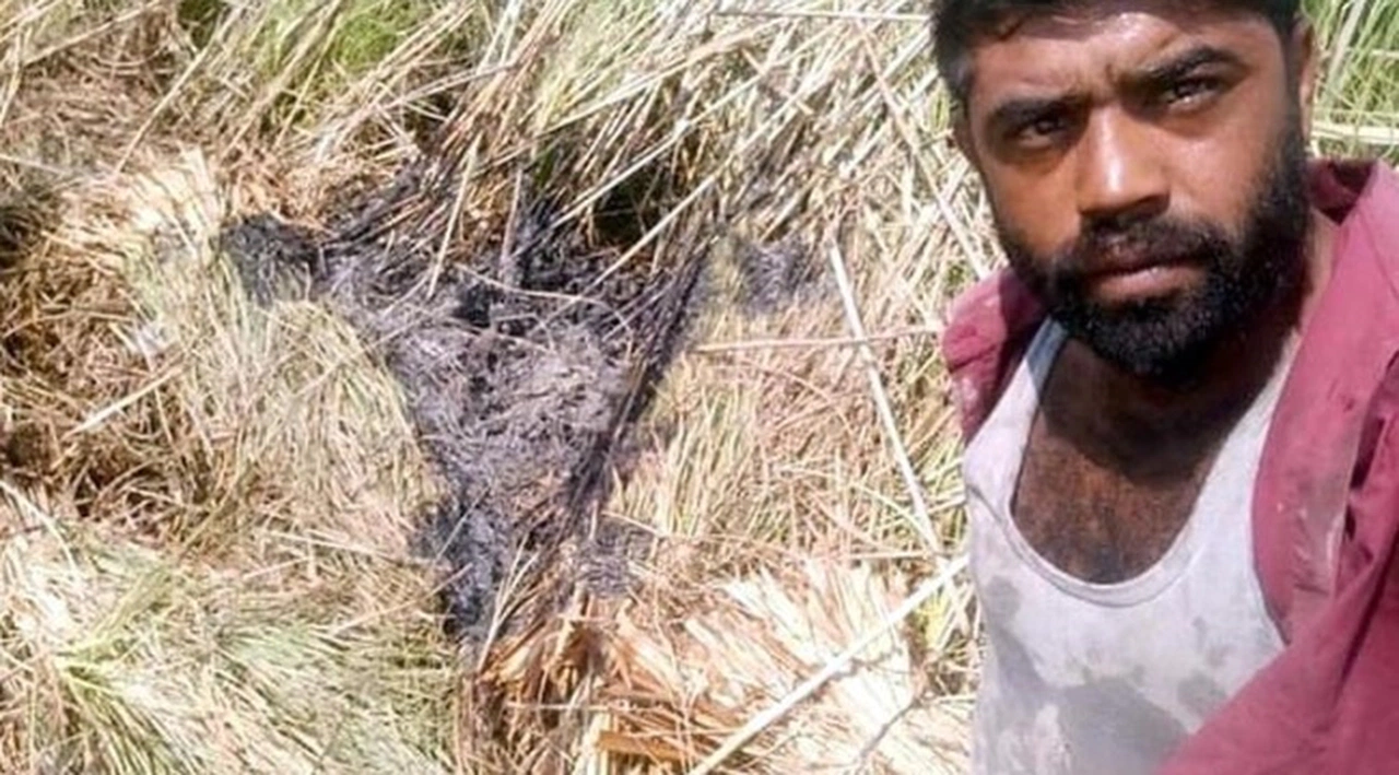 Sazlık yangını şüphelisi: Delil olması için bölgede selfie yaptım