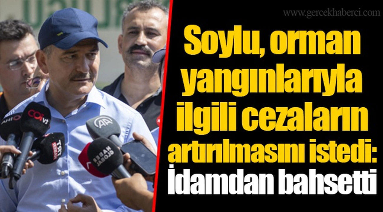 Soylu, orman yangınlarıyla ilgili cezaların artırılmasını istedi: İdamdan bahsetti