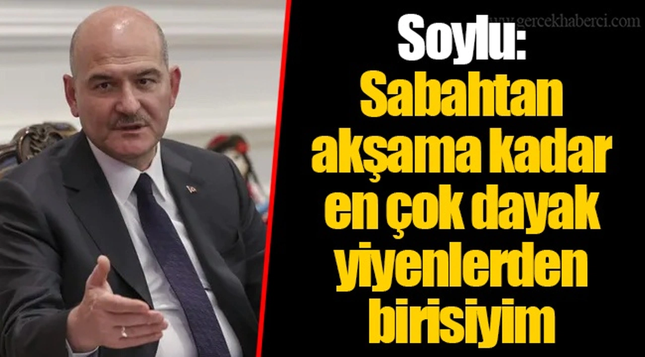 Soylu: Sabahtan akşama kadar en çok dayak yiyenlerden birisiyim