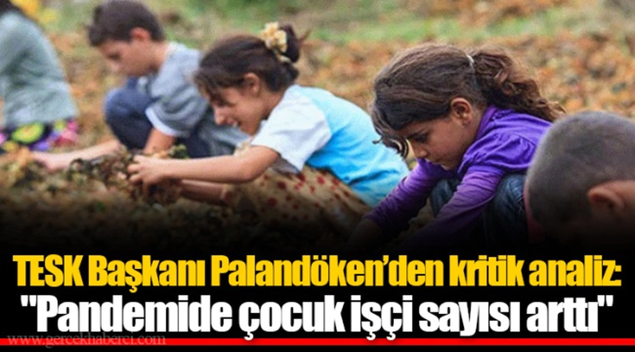 TESK Başkanı Palandöken’den kritik analiz: "Pandemide çocuk işçi sayısı arttı"