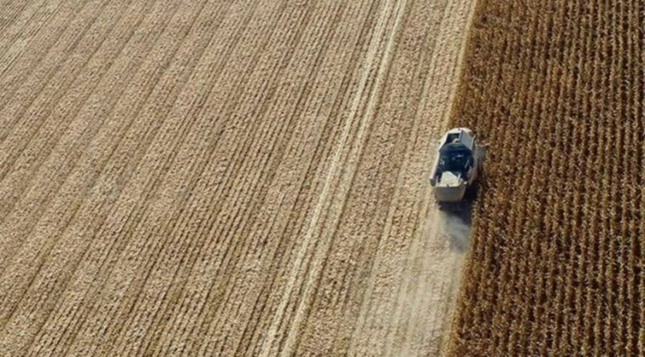 TZOB Başkanı Bayraktar: ’30 yılda 4,8 milyon hektar tarım arazisini kaybettik’