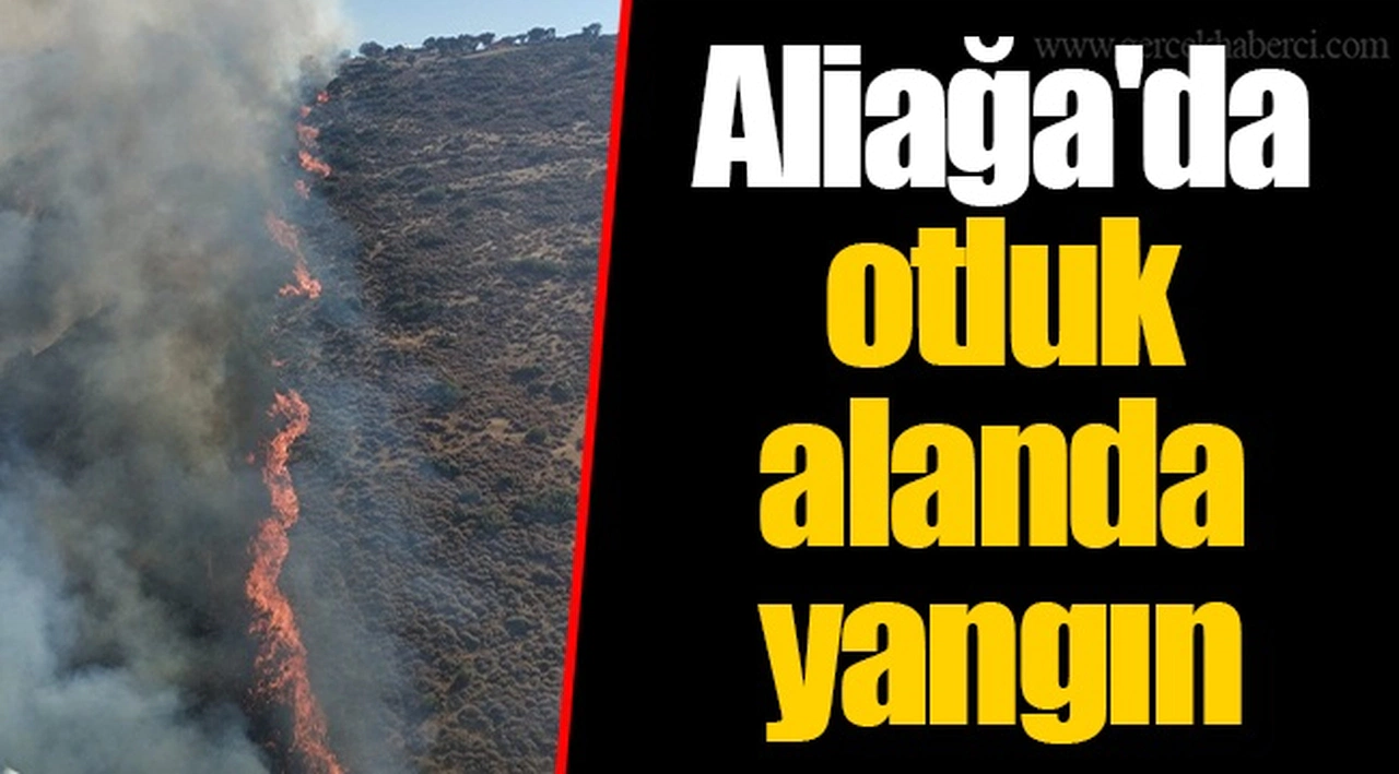 Aliağa'da otluk alanda yangın