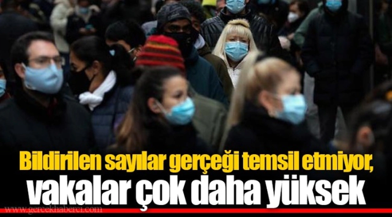 Bildirilen sayılar gerçeği temsil etmiyor, vakalar çok daha yüksek