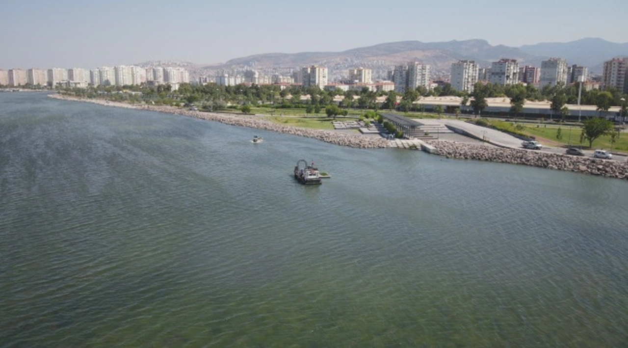 Bostanlı’daki deniz marulu temizliği tamamlandı