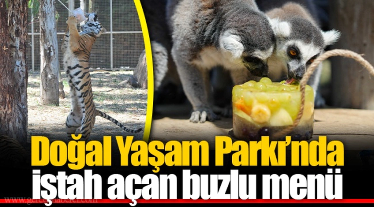 Doğal Yaşam Parkı’nda iştah açan buzlu menü