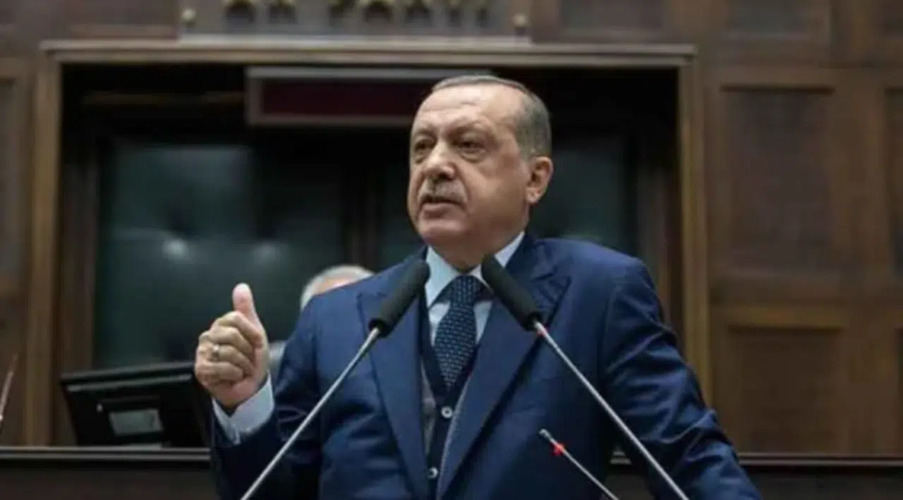 Erdoğan'ın konuşmasındaki hata, yazarlara kaldı: 'İktisadın 'i'sinden haberi olmadığını gösterdi'