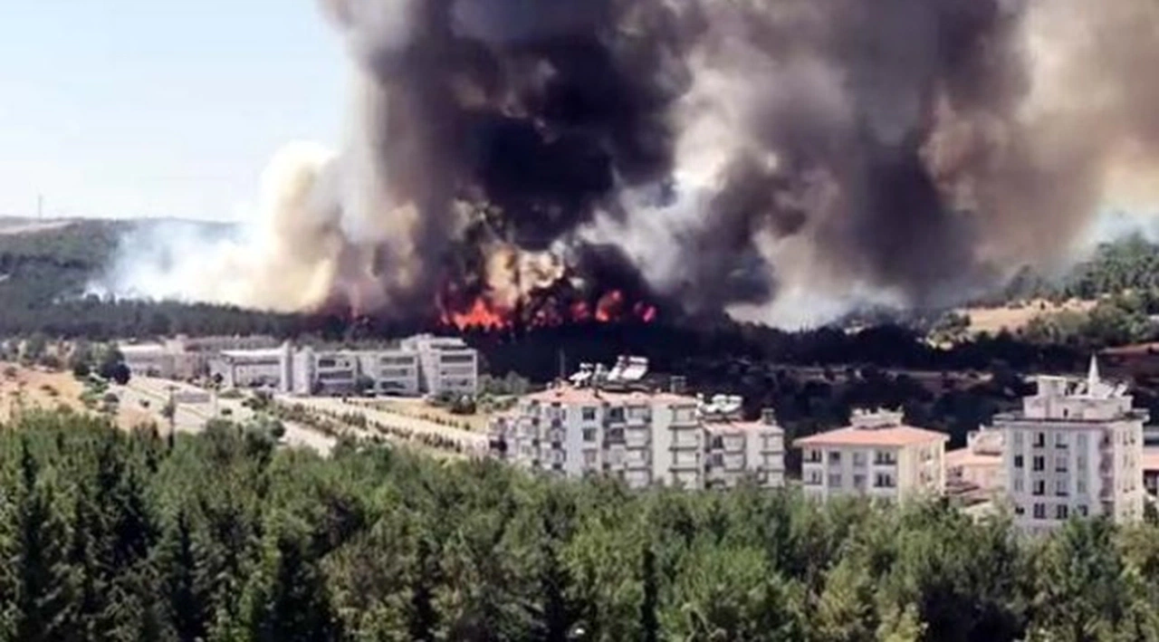 Gaziantep'te üniversiteye yakın alanda orman yangını!