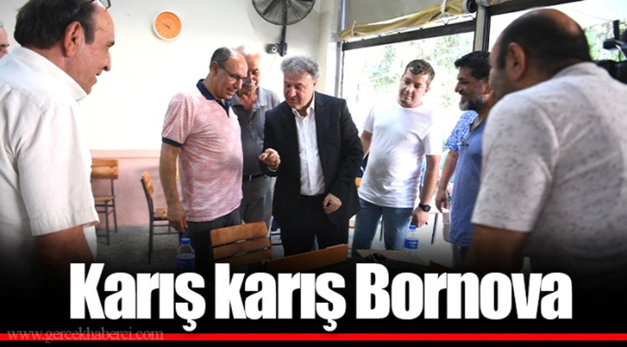 Karış karış Bornova